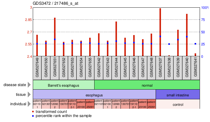 Gene Expression Profile