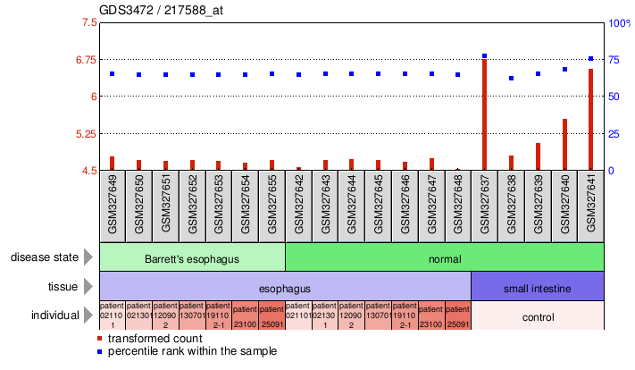 Gene Expression Profile