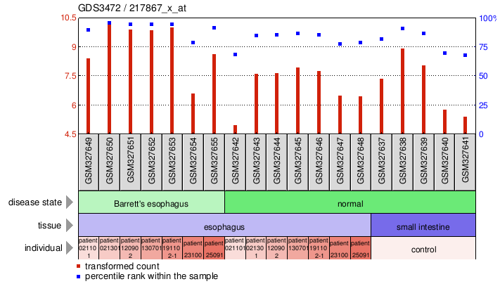 Gene Expression Profile