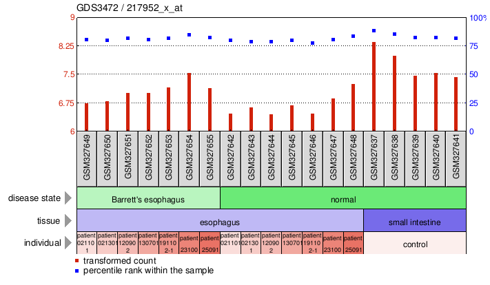 Gene Expression Profile