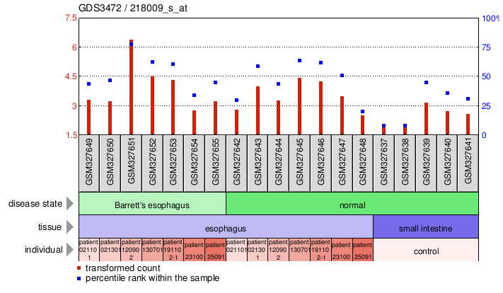 Gene Expression Profile