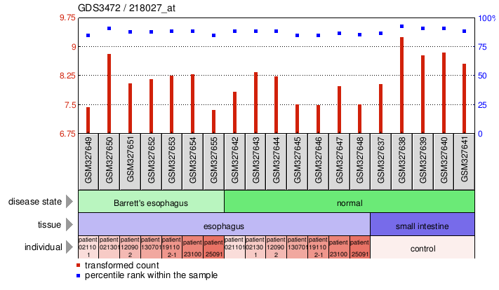 Gene Expression Profile