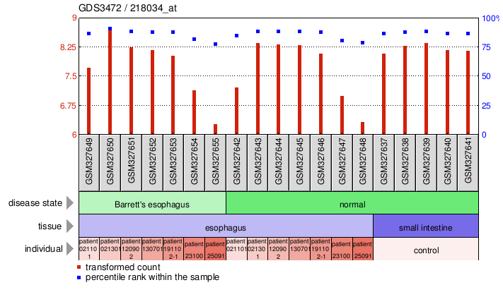 Gene Expression Profile