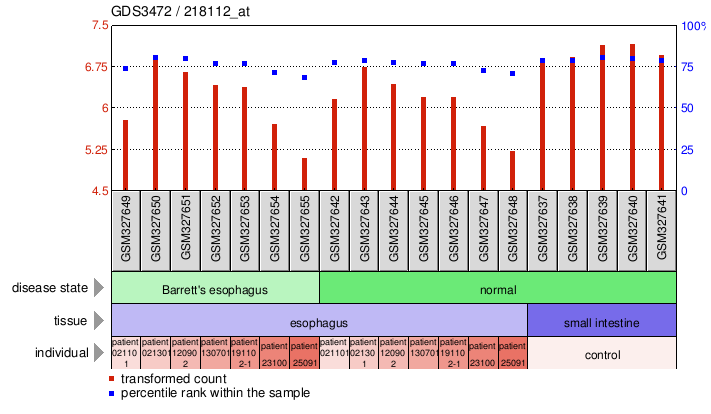 Gene Expression Profile