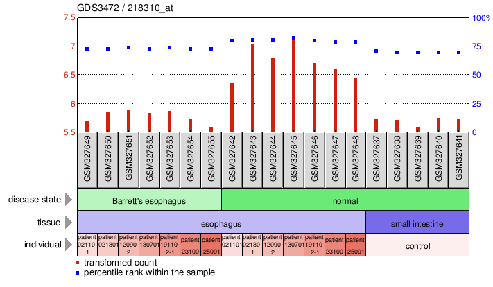 Gene Expression Profile