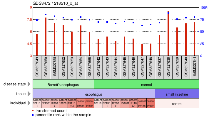 Gene Expression Profile