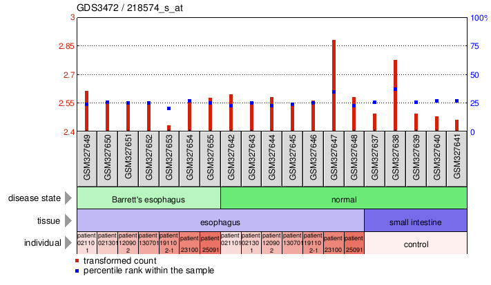 Gene Expression Profile