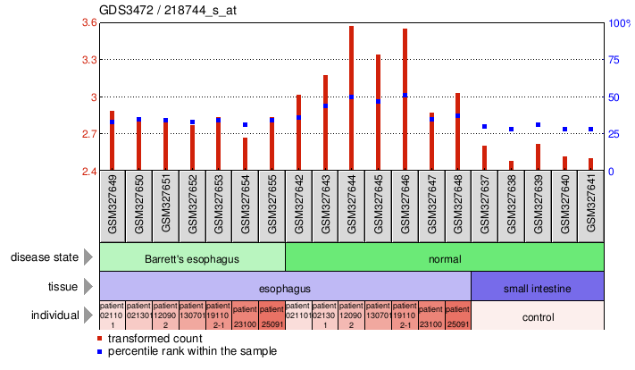 Gene Expression Profile