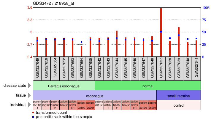 Gene Expression Profile