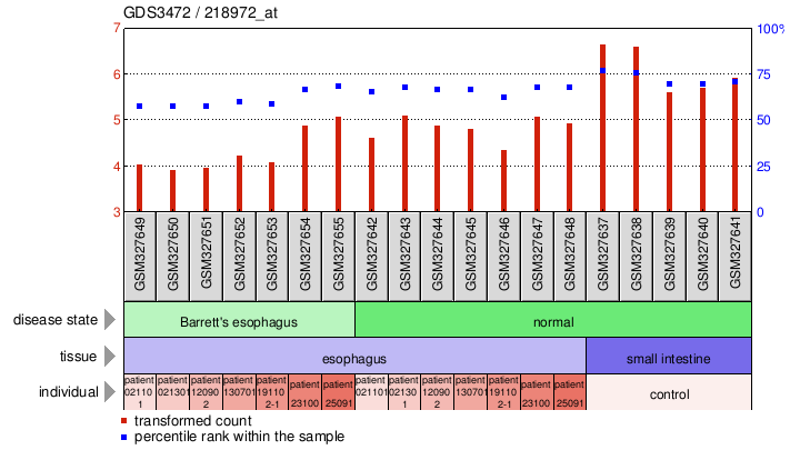 Gene Expression Profile