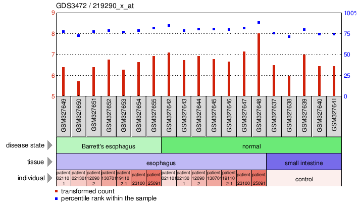 Gene Expression Profile