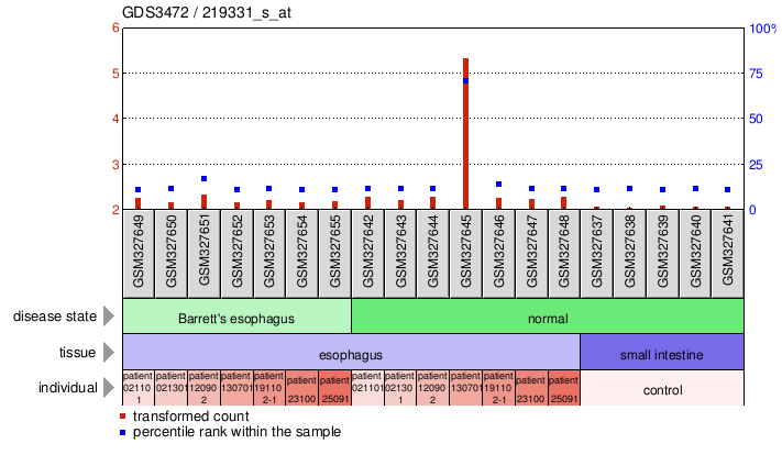 Gene Expression Profile