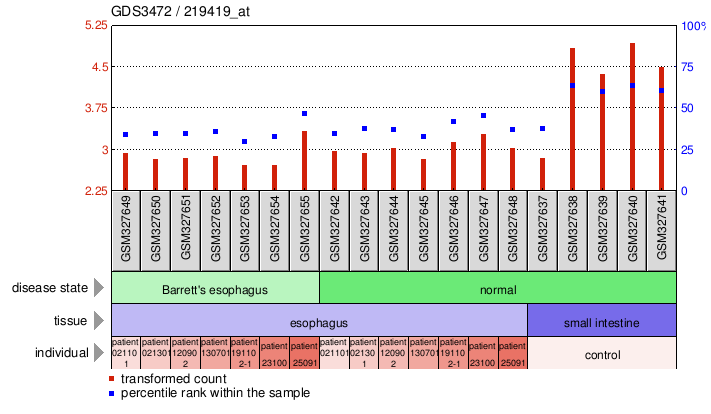 Gene Expression Profile