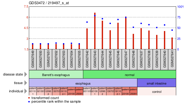 Gene Expression Profile