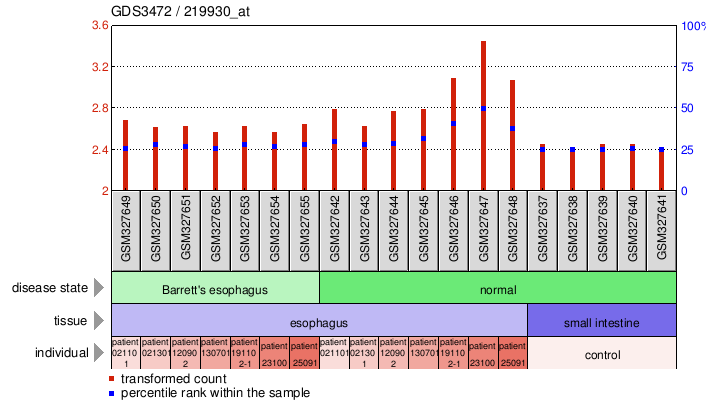 Gene Expression Profile