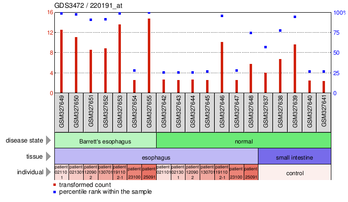 Gene Expression Profile