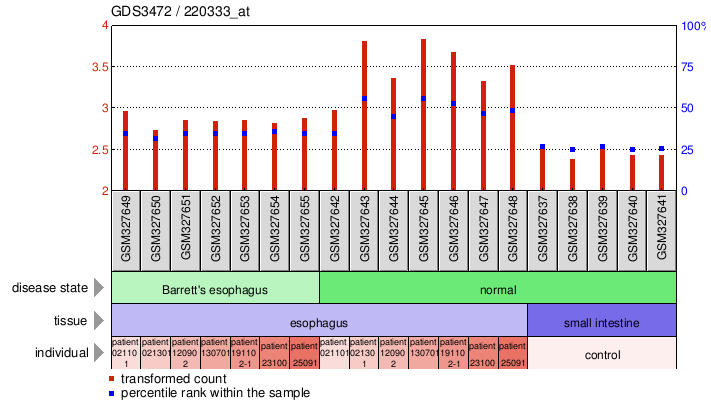 Gene Expression Profile