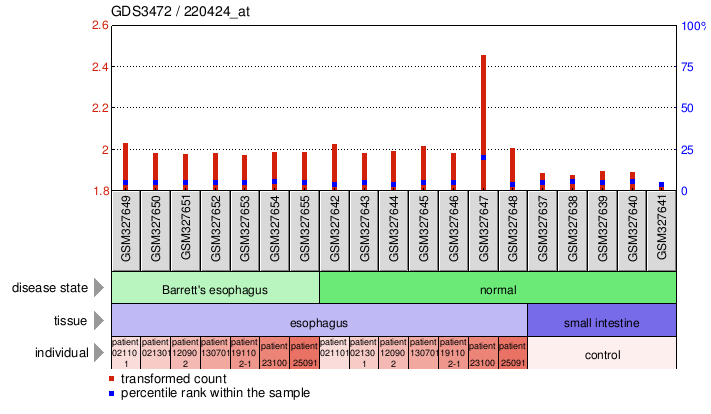 Gene Expression Profile