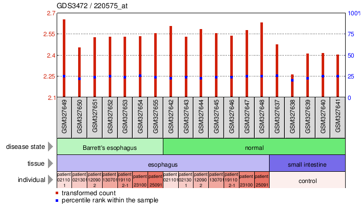 Gene Expression Profile