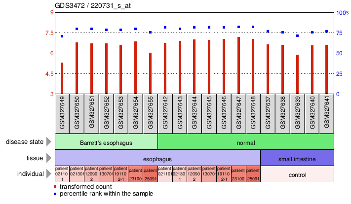 Gene Expression Profile