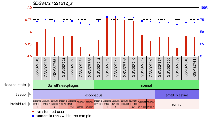 Gene Expression Profile