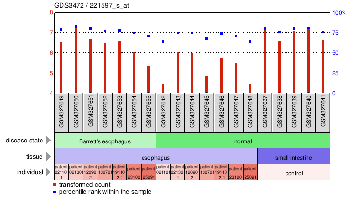 Gene Expression Profile