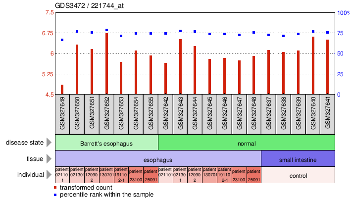 Gene Expression Profile