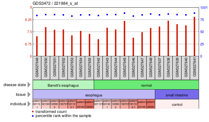 Gene Expression Profile