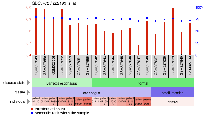 Gene Expression Profile