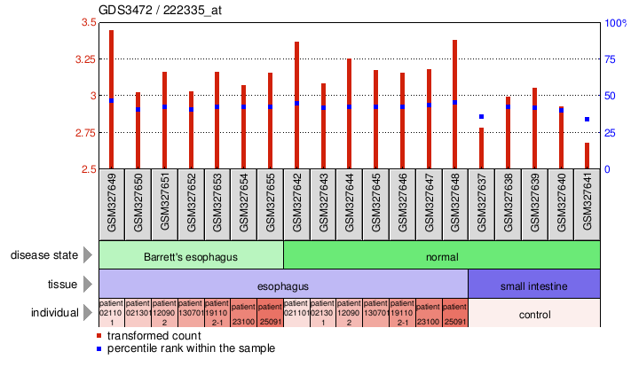 Gene Expression Profile