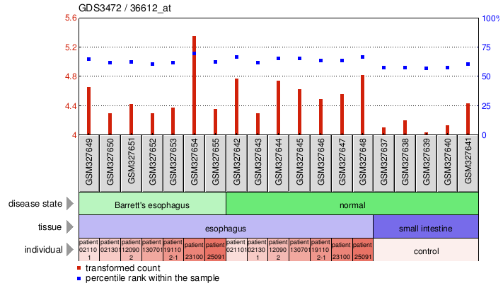 Gene Expression Profile