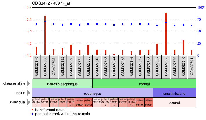 Gene Expression Profile