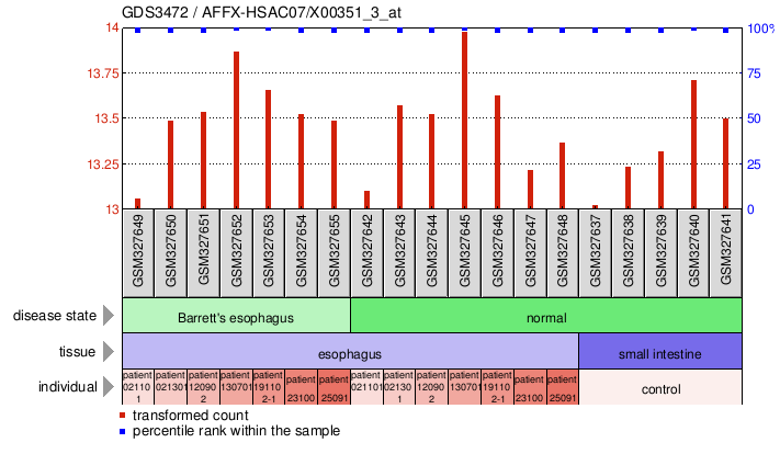 Gene Expression Profile