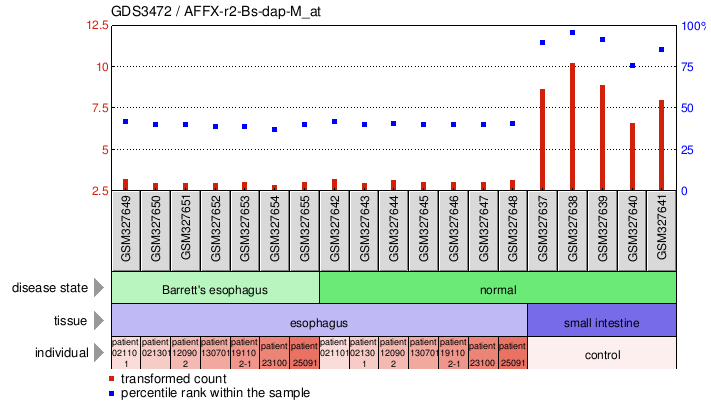 Gene Expression Profile