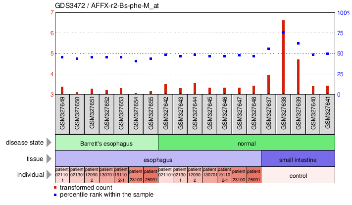 Gene Expression Profile