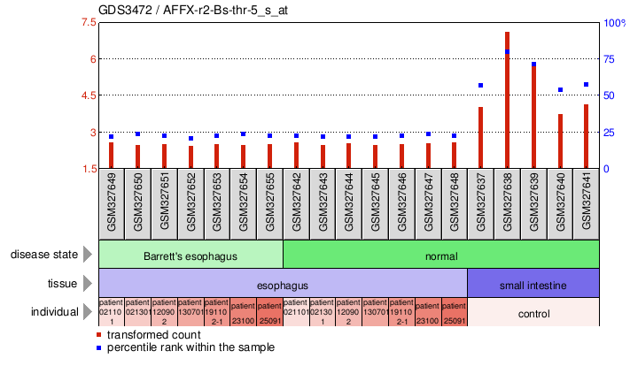 Gene Expression Profile