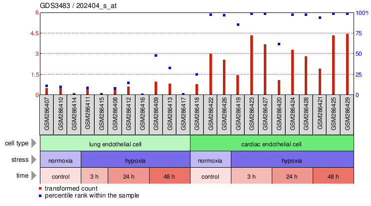 Gene Expression Profile