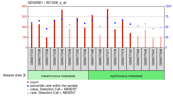 Gene Expression Profile