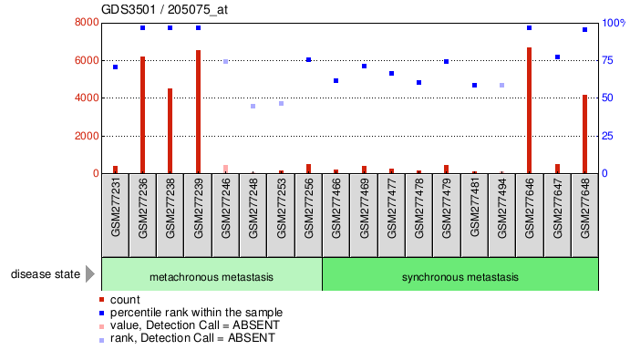 Gene Expression Profile