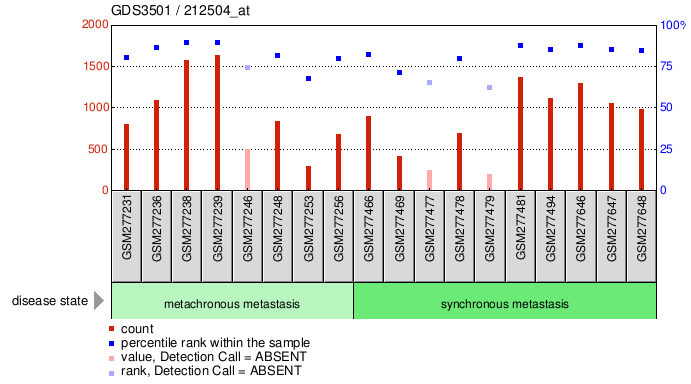 Gene Expression Profile