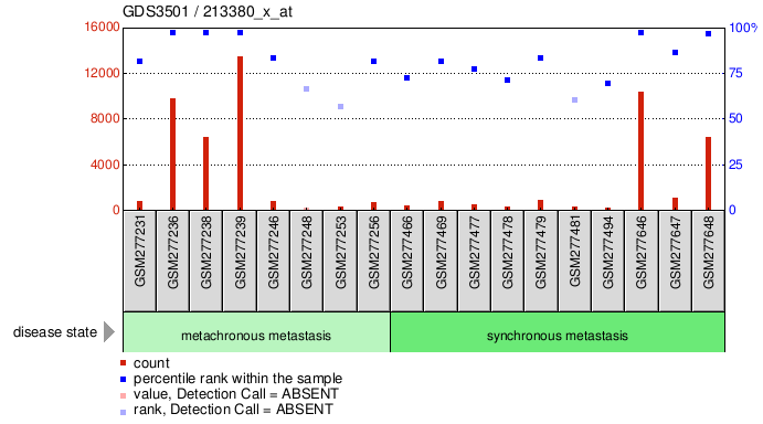 Gene Expression Profile