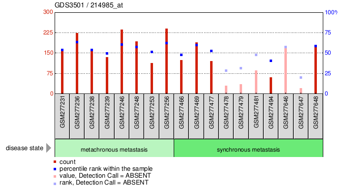 Gene Expression Profile