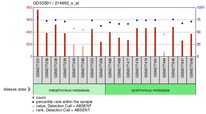 Gene Expression Profile