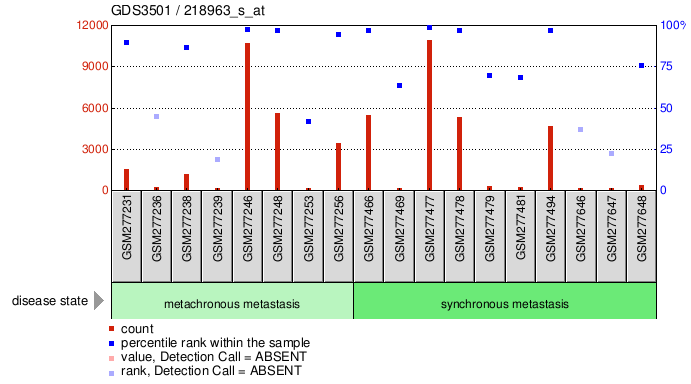 Gene Expression Profile