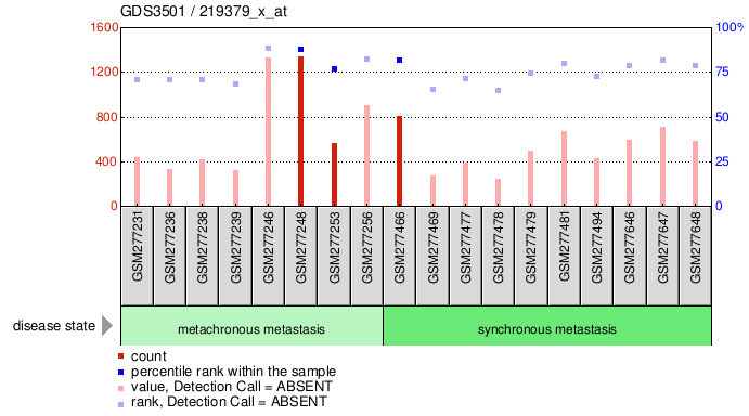 Gene Expression Profile