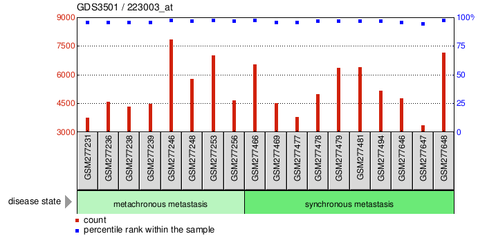 Gene Expression Profile