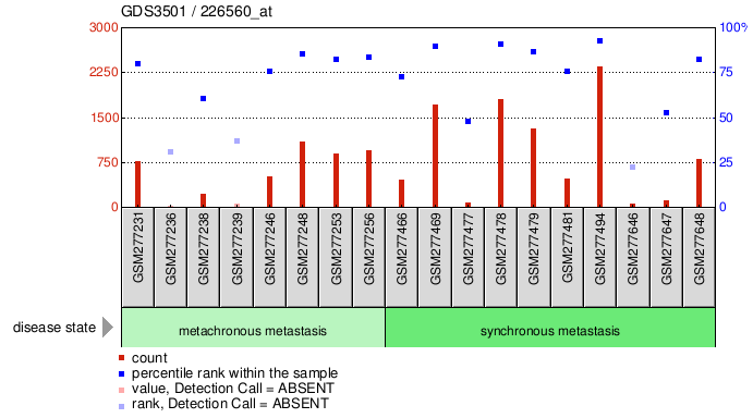 Gene Expression Profile