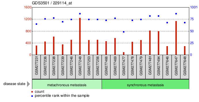 Gene Expression Profile