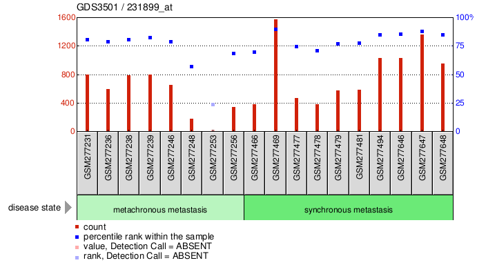 Gene Expression Profile