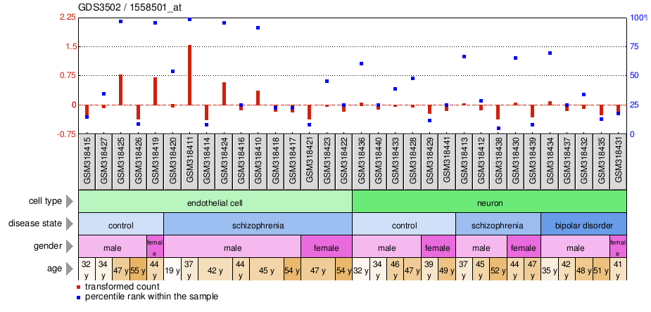 Gene Expression Profile